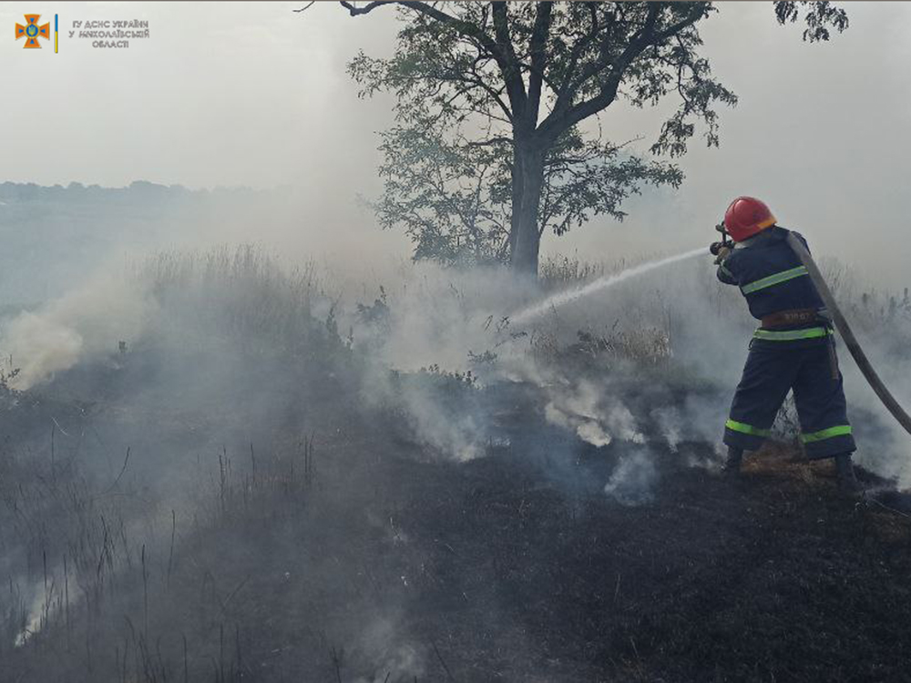 На Миколаївщині за добу зареєстровано 4 «мирних» пожежі (ФОТО) 1