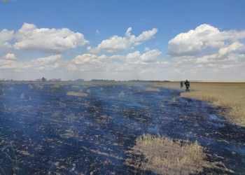 На Миколаївщині через окупантів вигоріло поле із пшеницею – збитки довкіллю склали понад 1,27 млрд гривень