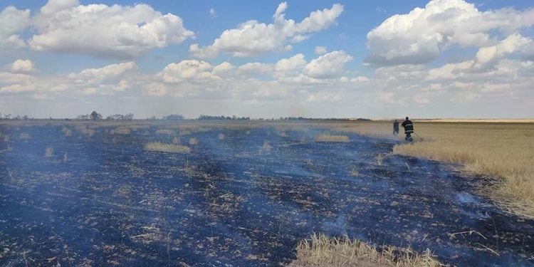На Миколаївщині через окупантів вигоріло поле із пшеницею – збитки довкіллю склали понад 1,27 млрд гривень