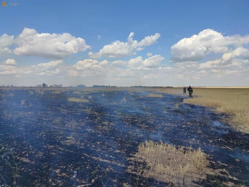 На Миколаївщині через окупантів вигоріло поле із пшеницею – збитки довкіллю склали понад 1,27 млрд гривень