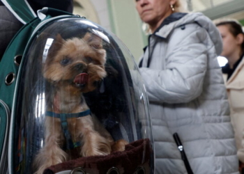 В Латвії з’явився портал допомоги українським біженцям у пошуку житла