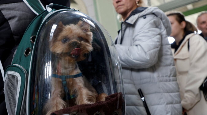 В Латвії з’явився портал допомоги українським біженцям у пошуку житла