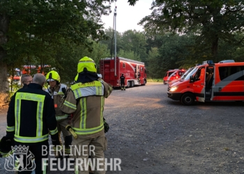 Біля Берліна горить склад з амуніцією і боєприпасами, понад 100 рятівників не можуть почати гасіння через детонацію снарядів