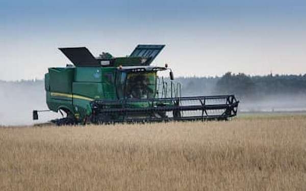 Аграрії Одещини і Миколаївщини на 99 % закінчили збирання пшениці