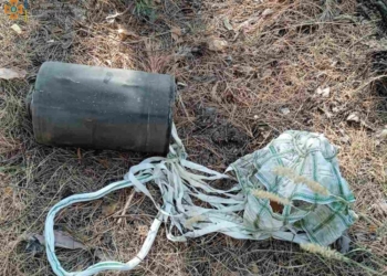 На Миколаївщині за добу з 19 пожеж дві були через обстріли. Пожежні рятували свиней на фермі та гасили лісові пожежі (ФОТО, ВІДЕО)