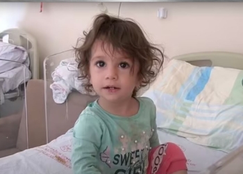 У Туреччині 2-річна дівчинка загризла змію, яка вкусила її за губу (ФОТО)