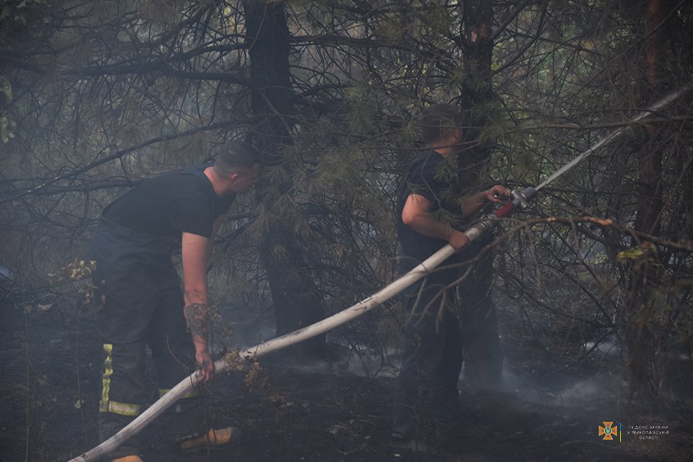 Масштабна лісова пожежа на Миколаївщині локалізована на площі 235 га (ФОТО) 21
