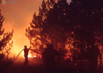 На Миколаївщині за добу з 19 пожеж дві були через обстріли. Пожежні рятували свиней на фермі та гасили лісові пожежі (ФОТО, ВІДЕО)