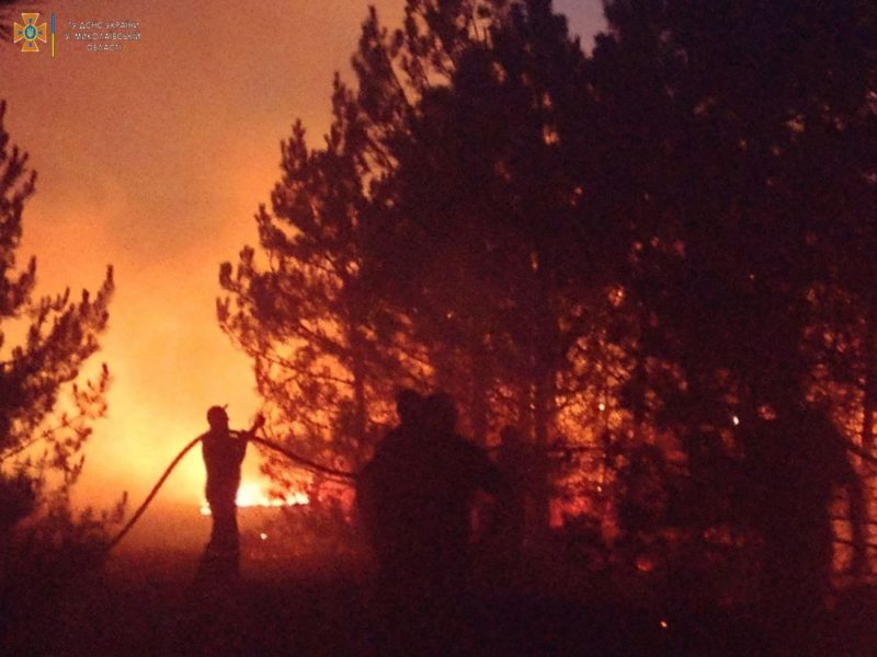 На Миколаївщині за добу з 19 пожеж дві були через обстріли. Пожежні рятували свиней на фермі та гасили лісові пожежі (ФОТО, ВІДЕО)