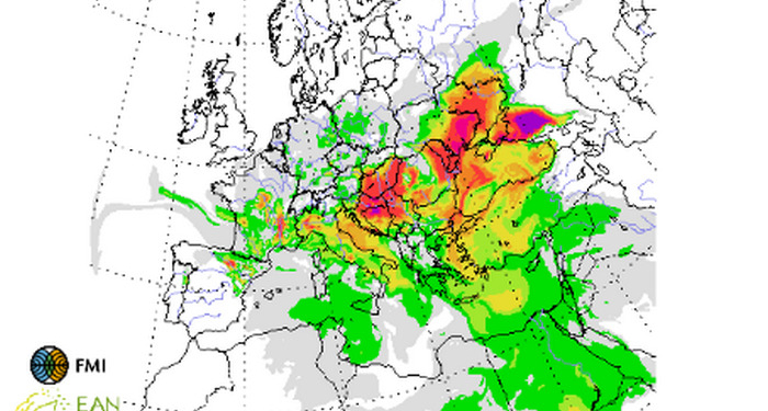 Високий сезон амброзії стартував: алергопрогноз на 12-18 серпня
