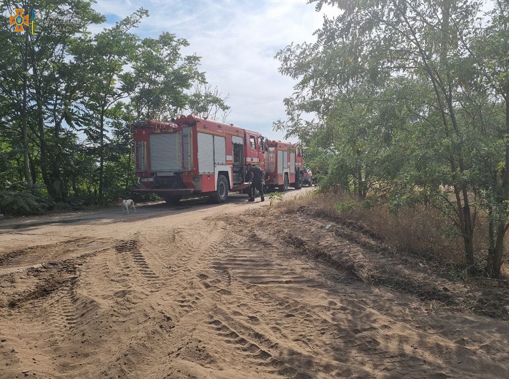 На Миколаївщині за добу з 29 пожеж третина виникла через російські обстріли (ФОТО, ВІДЕО) 26