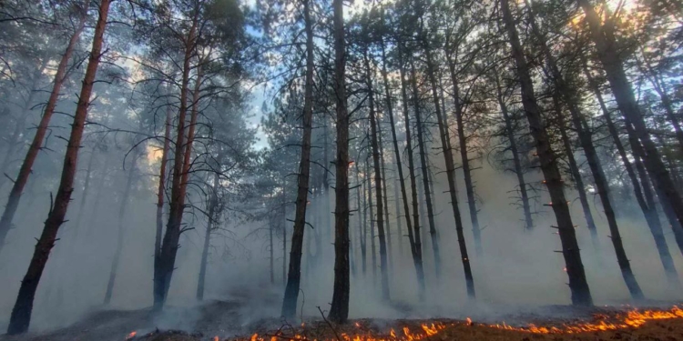 З 17 пожеж за добу на Миколаївщині 4 виникли через обстріли. На пожежі в Вознесенському районі постраждала людина – наразі вона в лікарні (ФОТО, ВІДЕО)