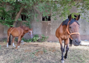 Миколаївський конецентр, обстріляний вчора росіянами, просить про допомогу (ФОТО)