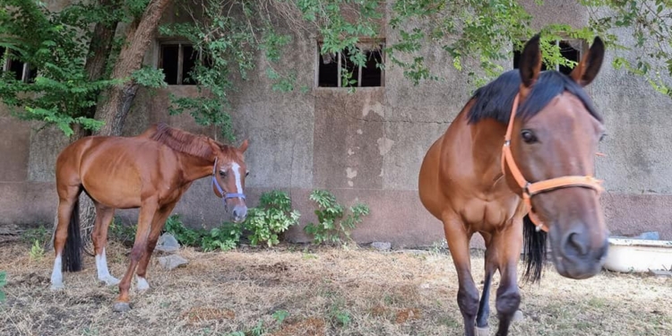 Миколаївський конецентр, обстріляний вчора росіянами, просить про допомогу (ФОТО)