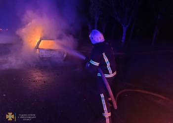 За добу на Миколаївщині виникло 10 пожеж, більше половини з них – через россійські обстріли