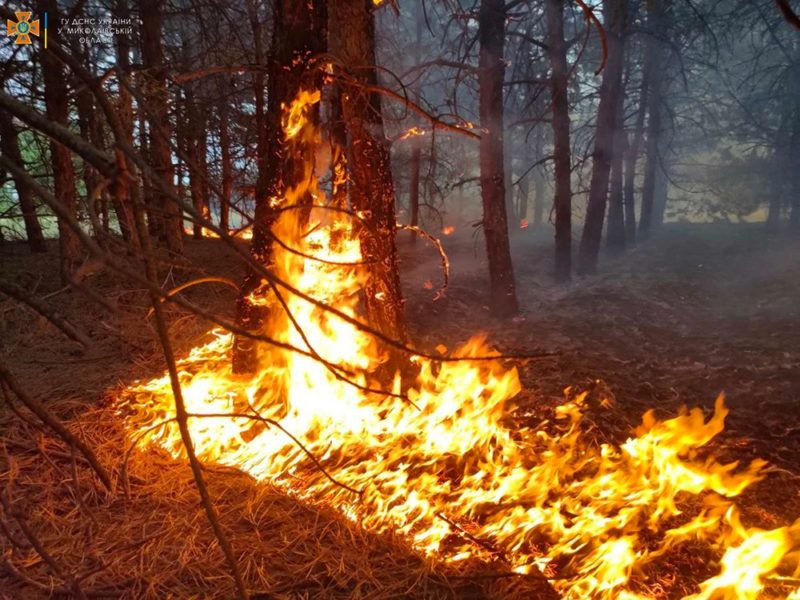 Через обстріли на Миколаївщині за добу вигоріло 20 га лісу, а через необережне поводження з вогнем – 8 га відкритих територій (ФОТО)