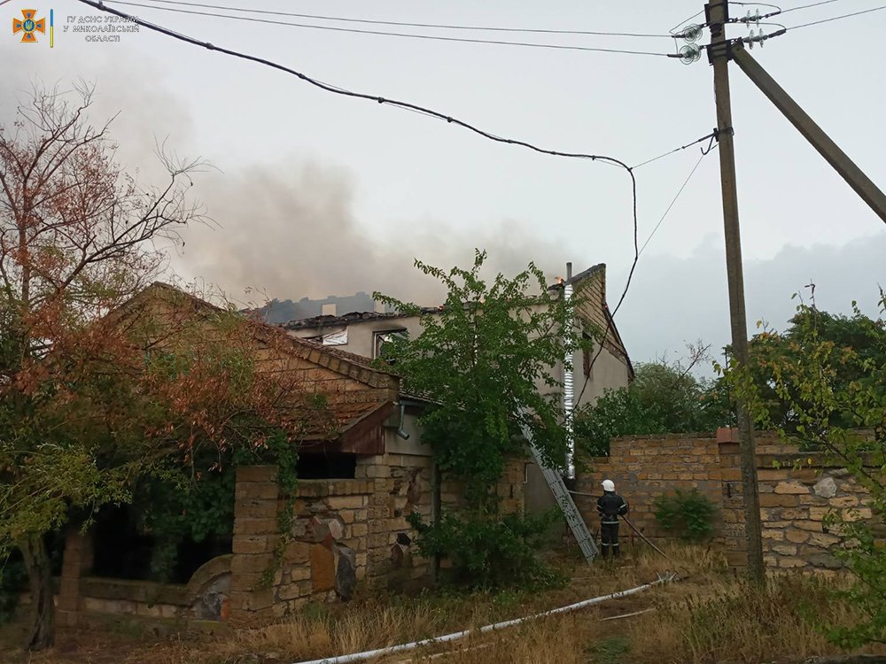 На Миколаївщині за добу було три «мирні» пожежі (ФОТО) 3