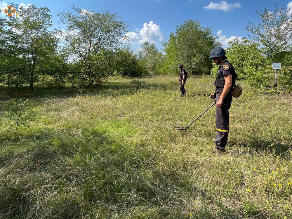На Миколаївщині за добу зареєстровано 5 «мирних» пожеж (ФОТО) 3