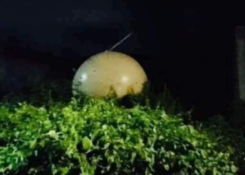 В Мексиці з неба впало “драконяче яйце”, але швидше – залишок ракети