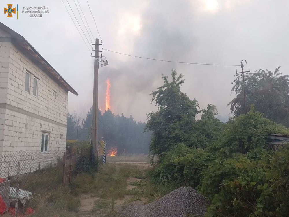 На Миколаївщині за добу з 19 пожеж дві були через обстріли. Пожежні рятували свиней на фермі та гасили лісові пожежі (ФОТО, ВІДЕО) 5