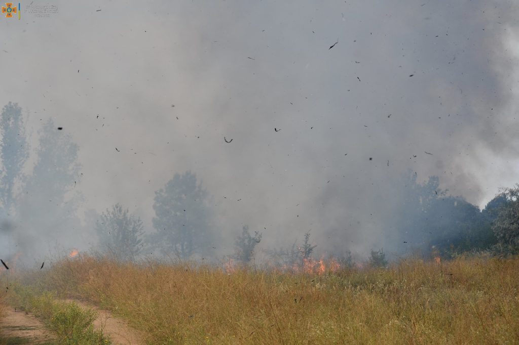 Сьогодні на Миколаївщині двічі горів ліс через російські обстріли - у Балабанівському лісовому урочищі (ФОТО, ВІДЕО) 6