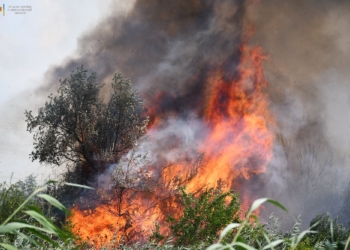 З 16 пожеж за добу на Миколаївщині три виникли через російські обстріли (ФОТО, ВІДЕО)