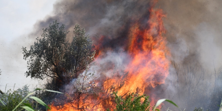 З 16 пожеж за добу на Миколаївщині три виникли через російські обстріли (ФОТО, ВІДЕО)