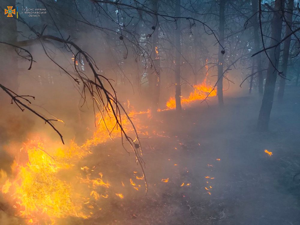 Через обстріли на Миколаївщині за добу вигоріло 20 га лісу, а через необережне поводження з вогнем – 8 га відкритих територій (ФОТО) 5