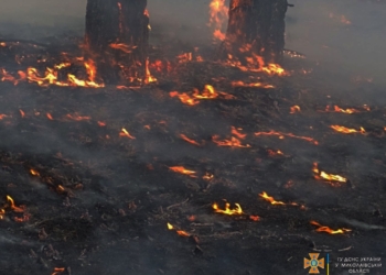 На Миколаївщині за добу вигоріло 1 га лісу і 4 га відкритих територій (ФОТО)