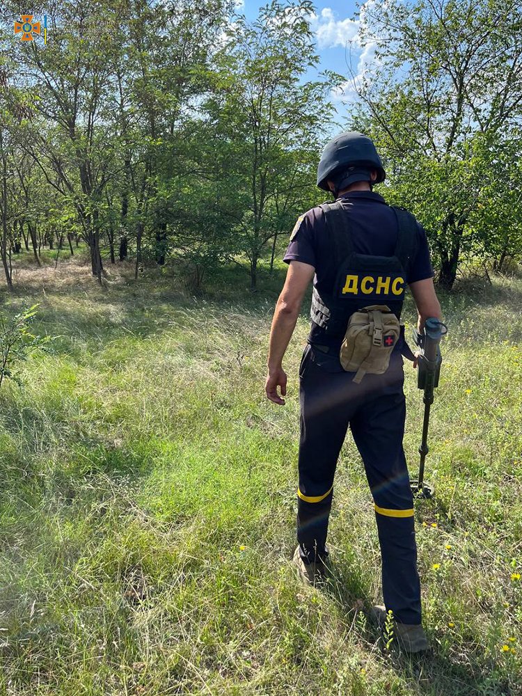 На Миколаївщині за добу зареєстровано 5 «мирних» пожеж (ФОТО) 5