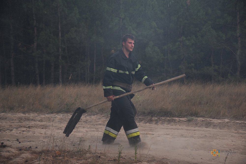 Масштабна лісова пожежа на Миколаївщині локалізована на площі 235 га (ФОТО) 5