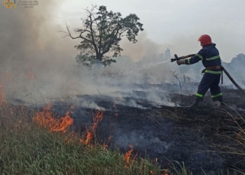 На Миколаївщині за добу зареєстровано 4 «мирних» пожежі (ФОТО)
