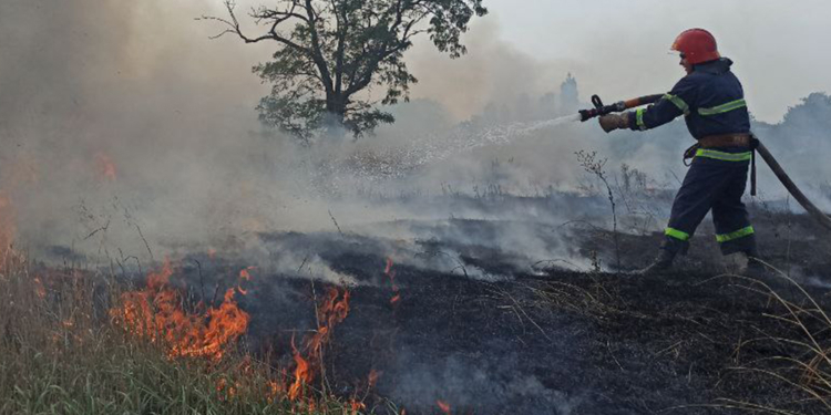 На Миколаївщині за добу зареєстровано 4 «мирних» пожежі (ФОТО)