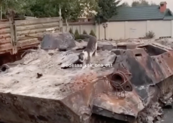 Кіт в Одесі перетворив російський танк на туалет: ВІДЕО стало хітом в мережі