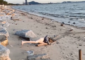 Секс-лялька викликала масовий напад паніки на популярному пляжі – викликали поліцію (ВІДЕО)