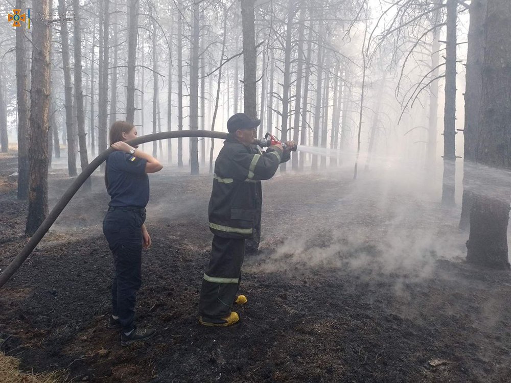 Через обстріли на Миколаївщині за добу вигоріло 20 га лісу, а через необережне поводження з вогнем – 8 га відкритих територій (ФОТО) 7