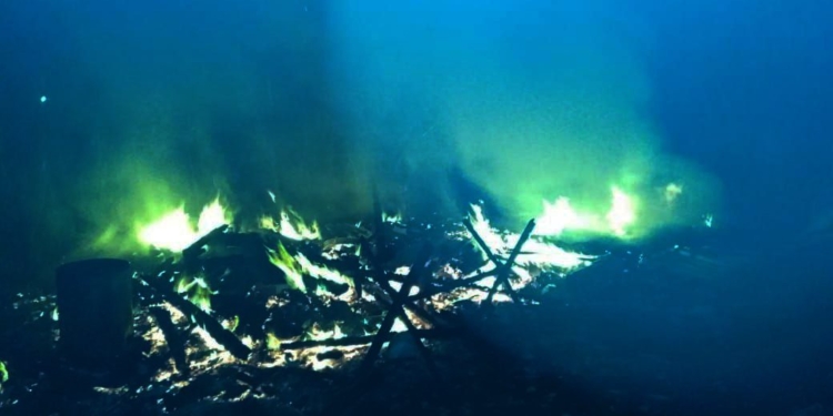 З 6 пожеж на Миколаївщині за добу одна – внаслідок російських обстрілів (ФОТО)