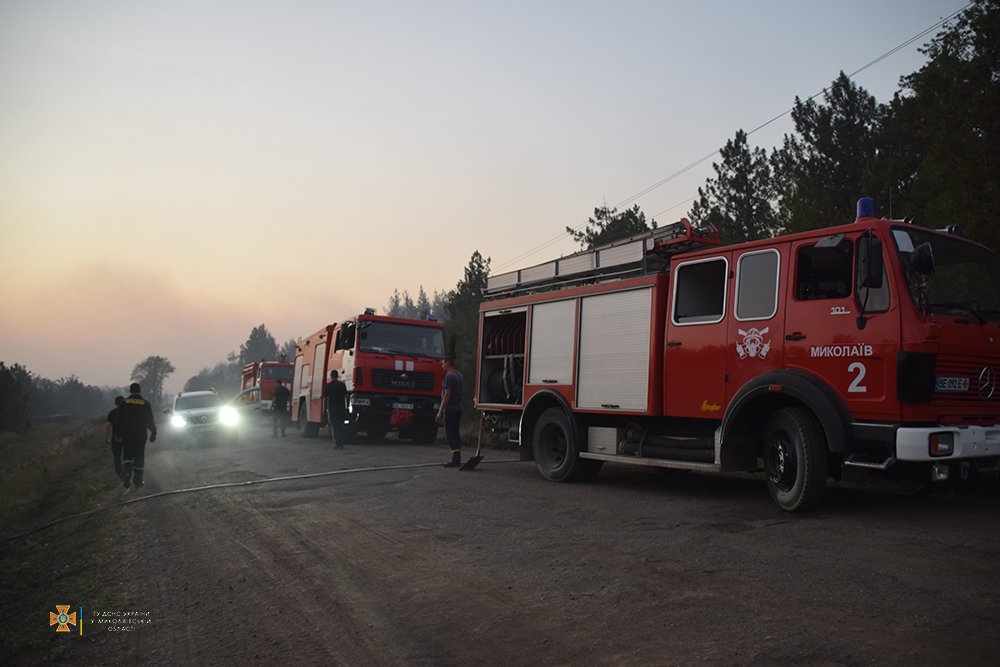 Масштабна лісова пожежа на Миколаївщині локалізована на площі 235 га (ФОТО) 7