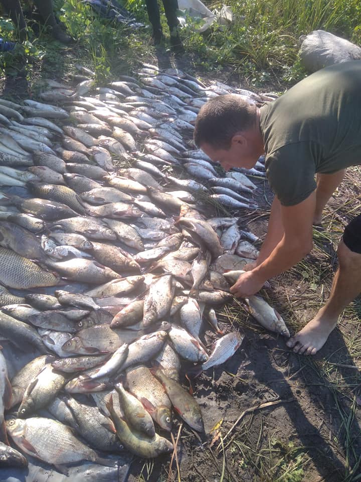 У Вознесенському районі браконьєр сітками виловив 152 кг риби – тут його і упіймав Миколаївський рибоохоронний патруль (ФОТО) 9