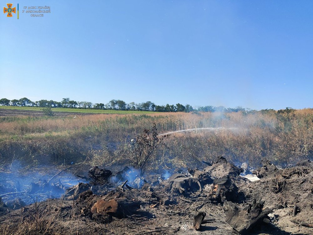 На Миколаївщині за добу з 19 пожеж дві були через обстріли. Пожежні рятували свиней на фермі та гасили лісові пожежі (ФОТО, ВІДЕО) 9
