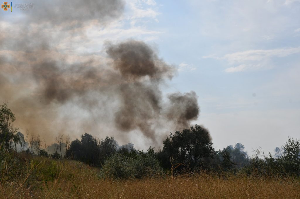 Сьогодні на Миколаївщині двічі горів ліс через російські обстріли - у Балабанівському лісовому урочищі (ФОТО, ВІДЕО) 10