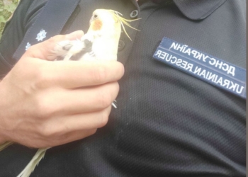 В Очакові на пожежі врятували і 41-річного чоловіка, і його папугу (ФОТО)