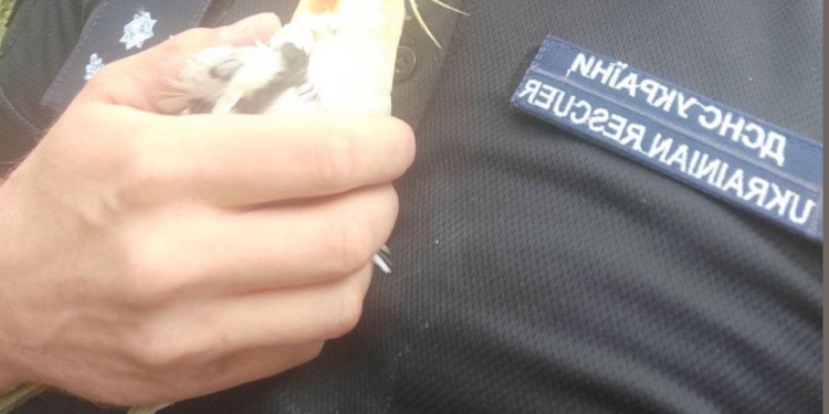 В Очакові на пожежі врятували і 41-річного чоловіка, і його папугу (ФОТО)