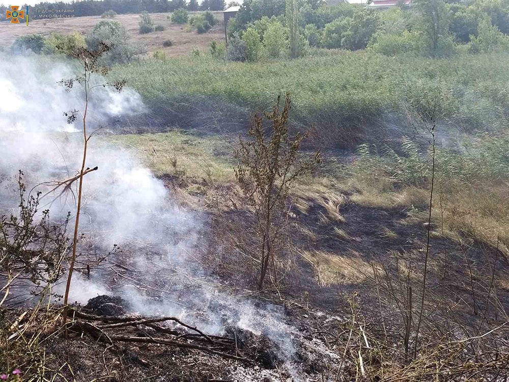 Через обстріли на Миколаївщині за добу вигоріло 20 га лісу, а через необережне поводження з вогнем – 8 га відкритих територій (ФОТО) 9