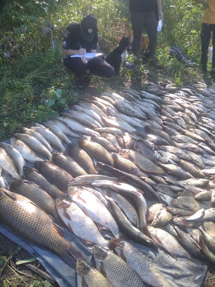 У Вознесенському районі браконьєр сітками виловив 152 кг риби – тут його і упіймав Миколаївський рибоохоронний патруль (ФОТО) 11