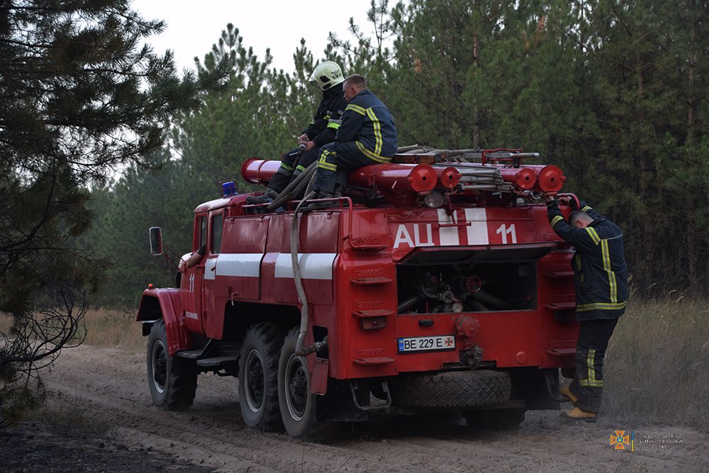 Масштабна лісова пожежа на Миколаївщині локалізована на площі 235 га (ФОТО) 11