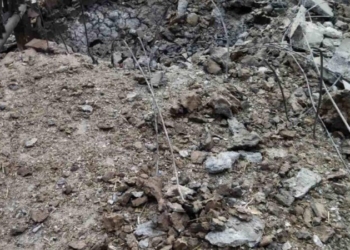 Россіяне розстріляли велику молочну ферму на Запоріжжі, загинуло більше тисячи корів (ФОТО)