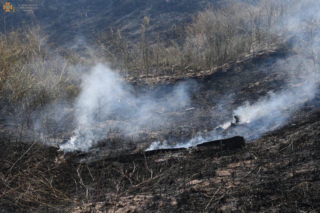 Сьогодні на Миколаївщині двічі горів ліс через російські обстріли - у Балабанівському лісовому урочищі (ФОТО, ВІДЕО) 14