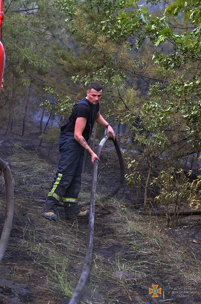 Масштабна лісова пожежа на Миколаївщині локалізована на площі 235 га (ФОТО) 13