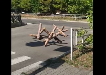 В Херсоні рашисти встановили дивні протитанкові їжаки. Чому в місті їм раді? (ВІДЕО)